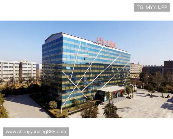 云顶公司怎么取名：考虑未来发展方向的命名技巧